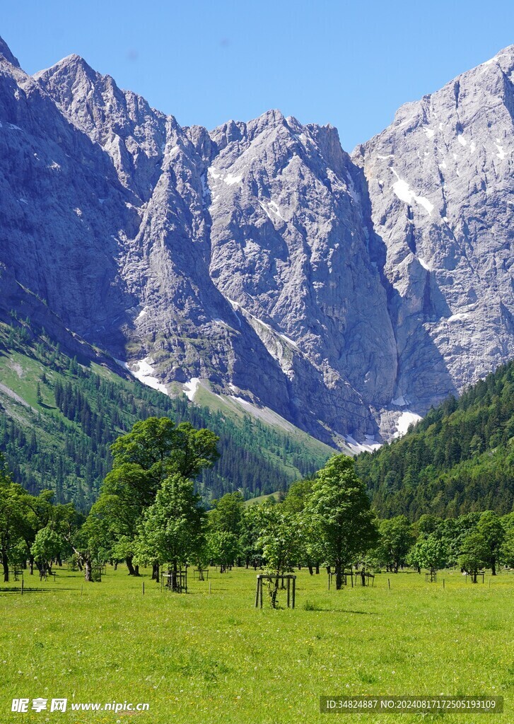 山景