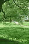 公园景色