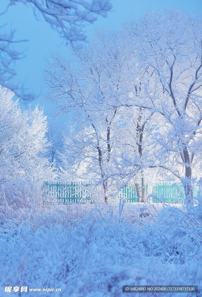 雪景