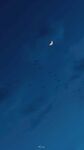 夜空