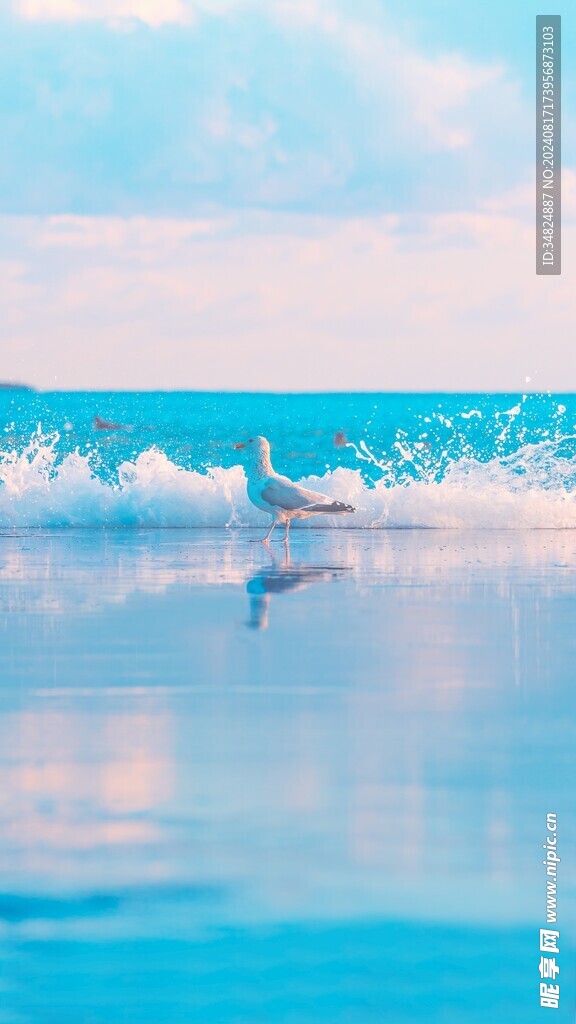 海浪
