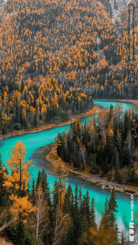 森林风景
