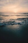 大海