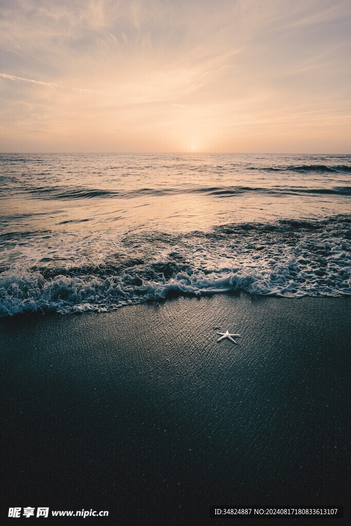大海