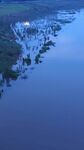 河水草
