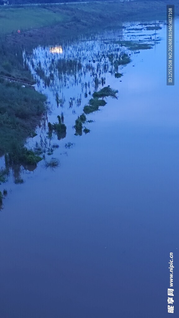 河水草