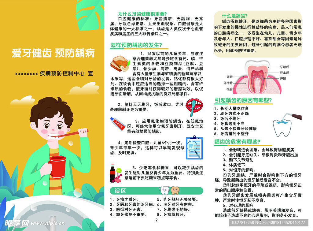 爱牙健齿 预防牙齿蛀虫折页