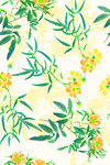手绘花蕾叶子