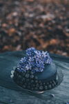 鲜花蛋糕