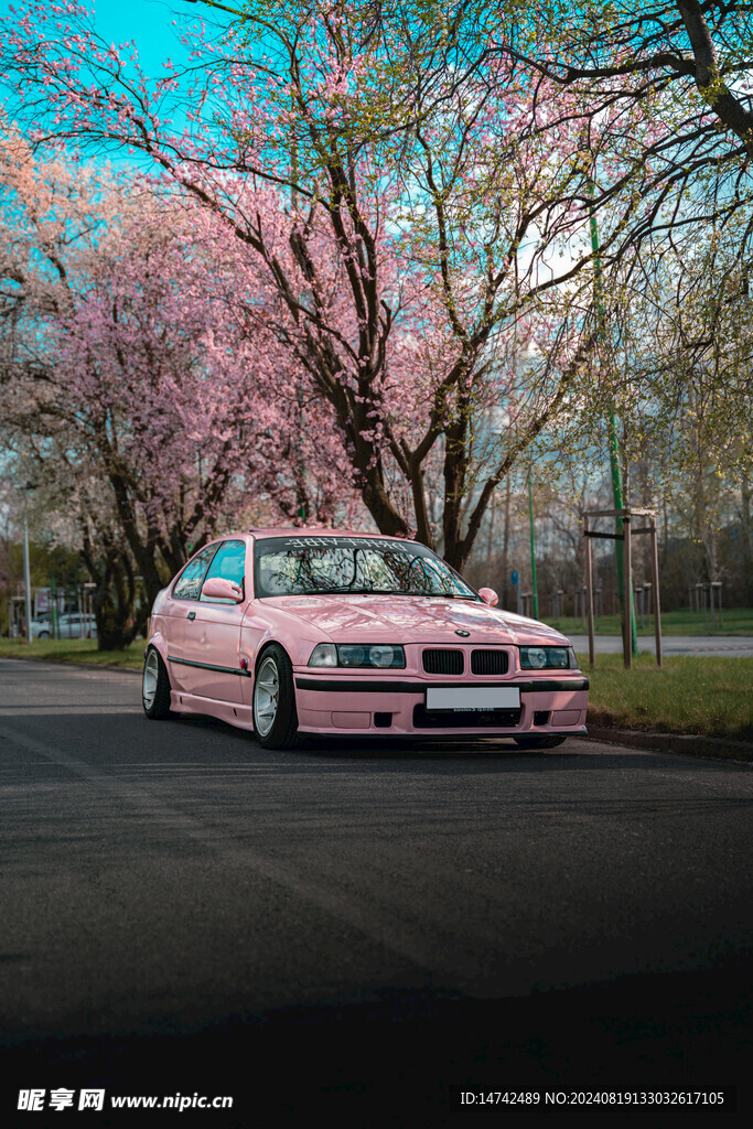 粉色小汽车