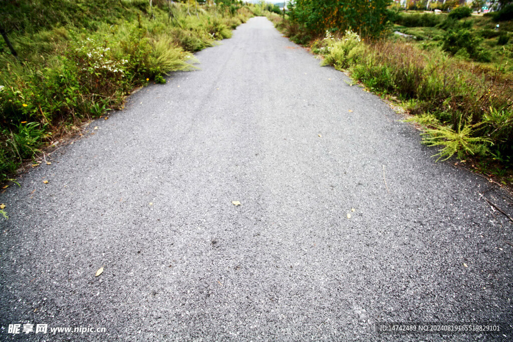 乡村柏油路