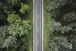 森林里的公路