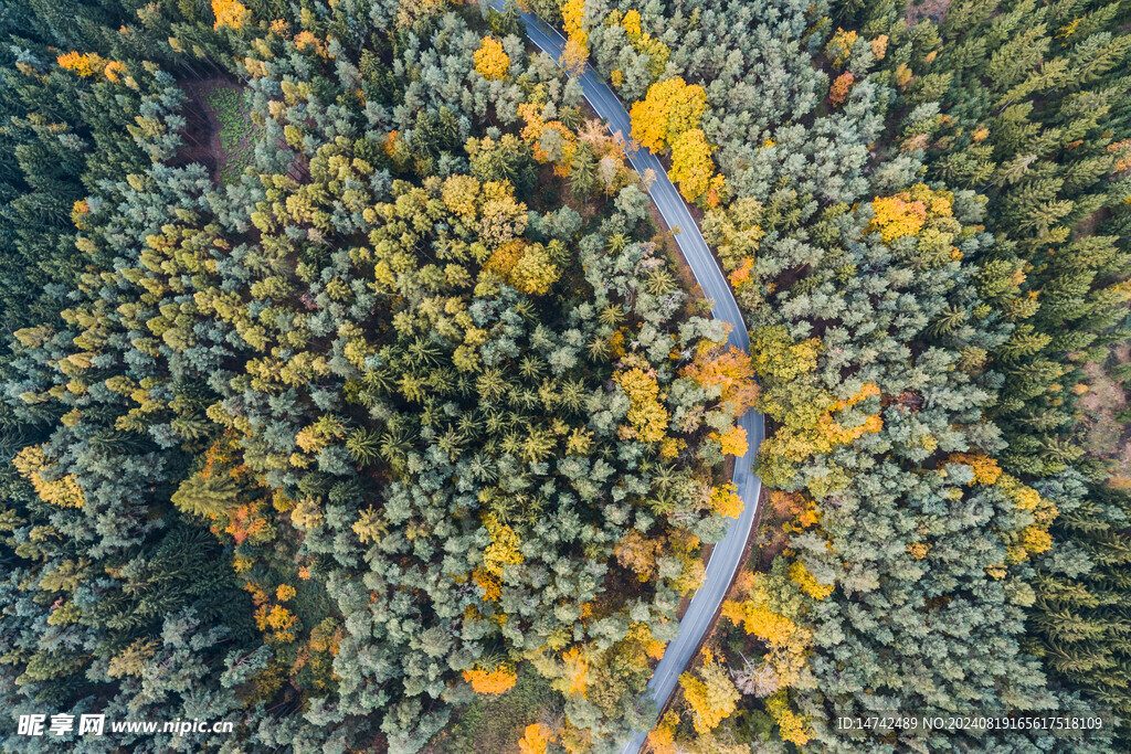 航拍森林公路