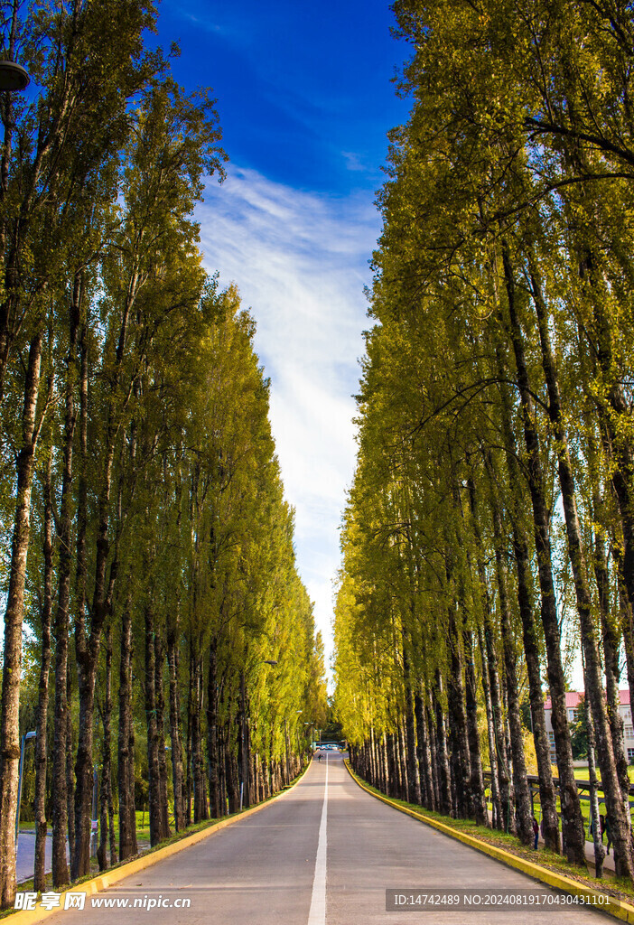 乡村公路风景