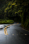 雨后柏油马路