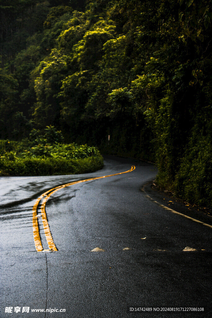 雨后柏油马路