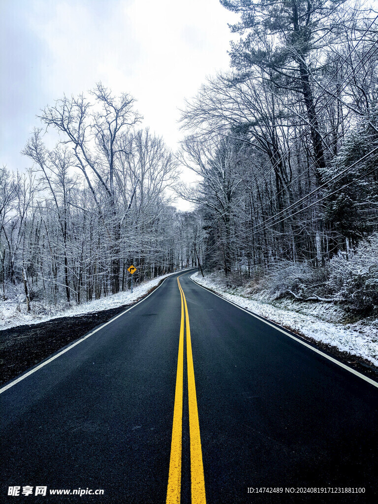 树林公路雪景