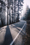 山林公路