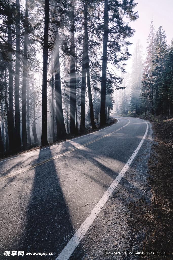 山林公路