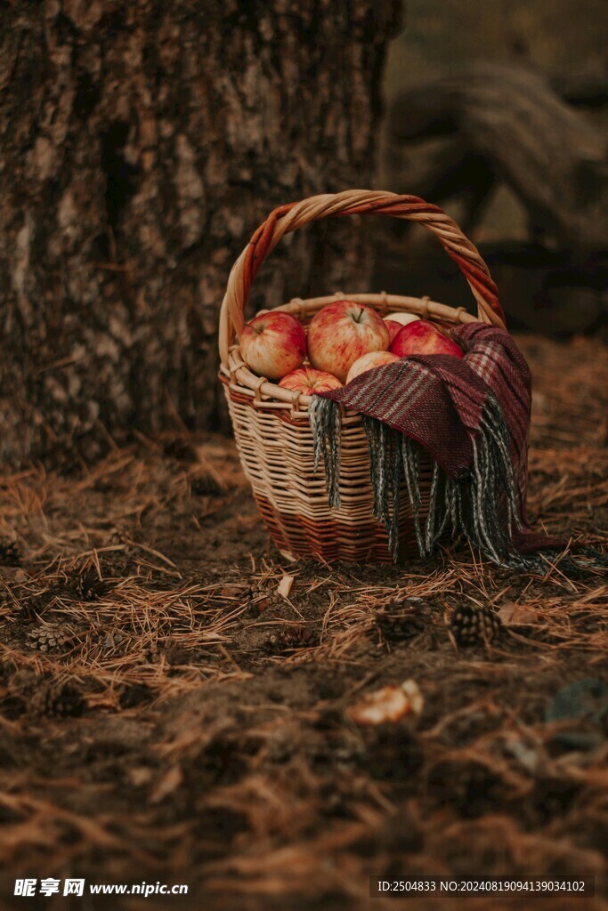 苹果