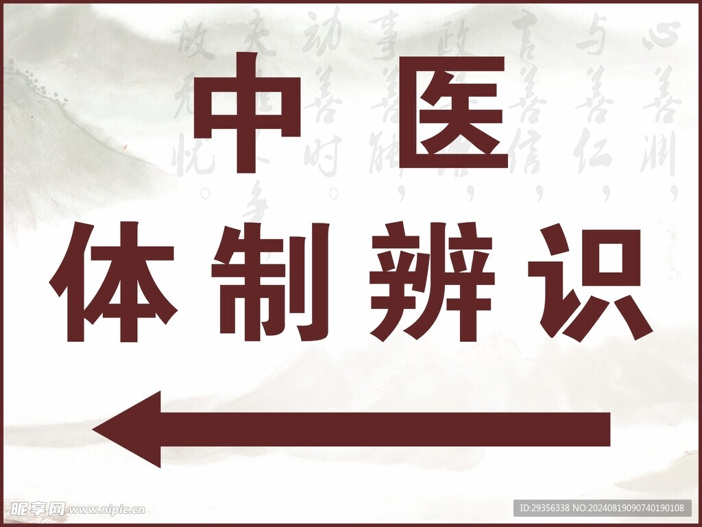 中医体制辨识