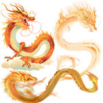 龙