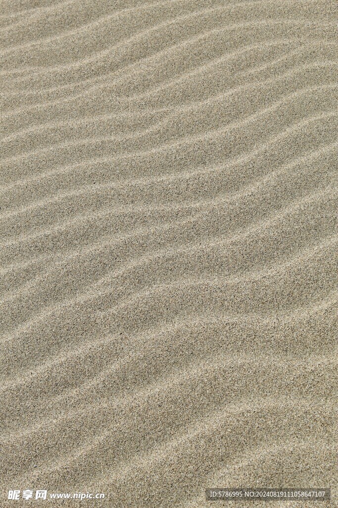 沙漠