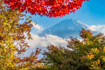 富士山