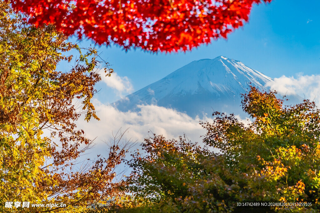 富士山