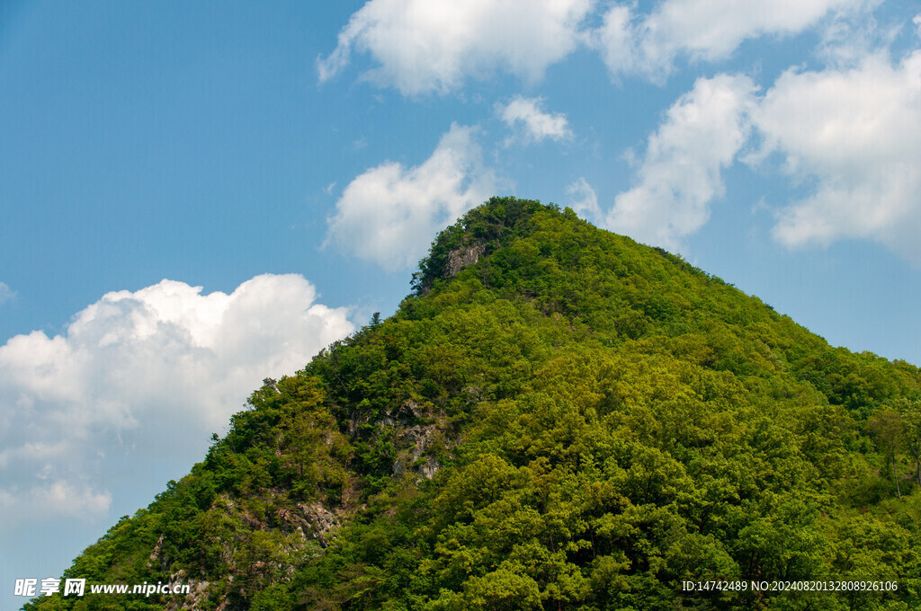 绿色青山之巅