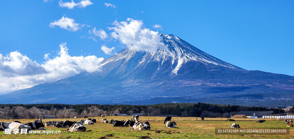 富士山