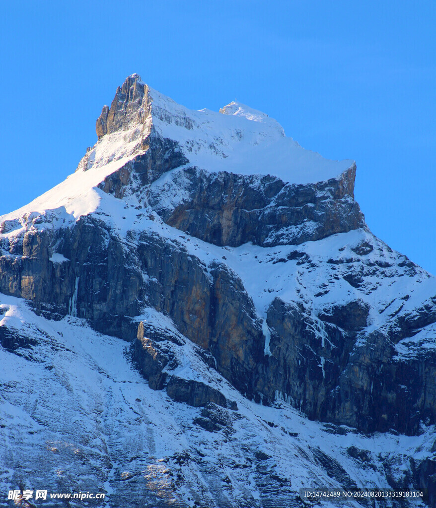 雪景