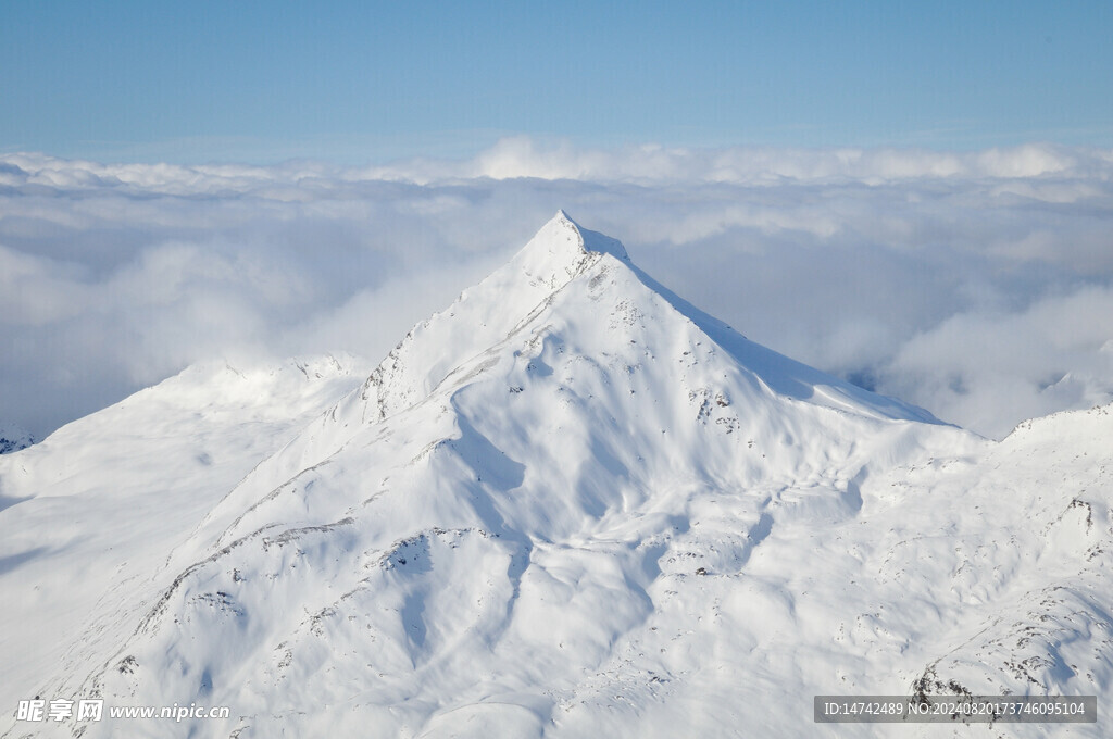 雪景