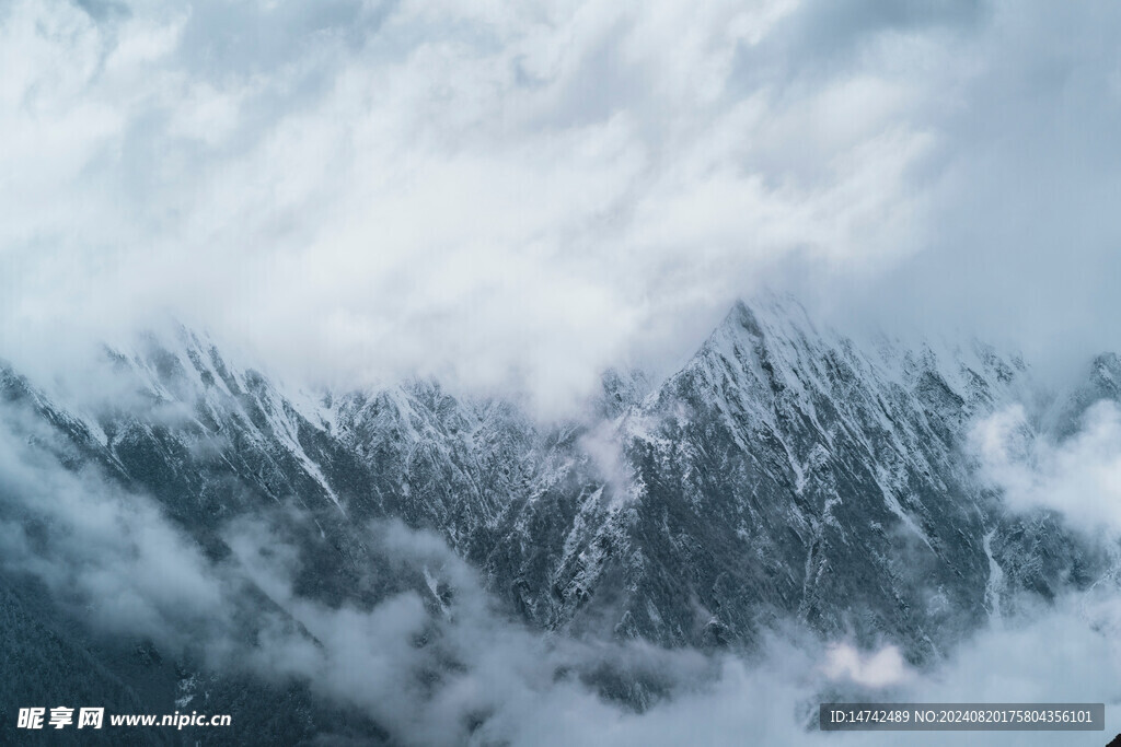 雪景