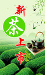 茶叶海报