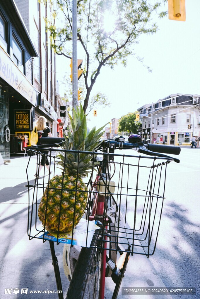 菠萝图片