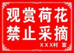 观赏荷花 禁止采摘