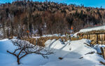 雪乡风景