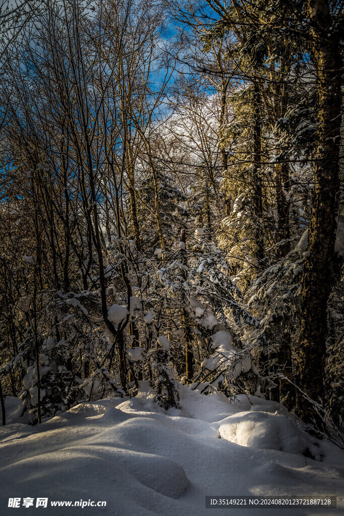 雪乡风景