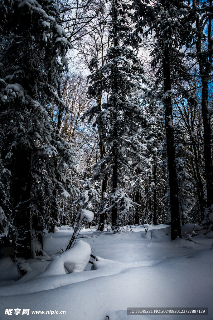 雪乡风景