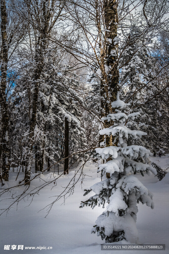 雪乡风景