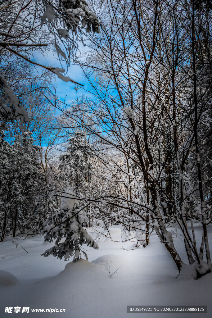 雪乡风景