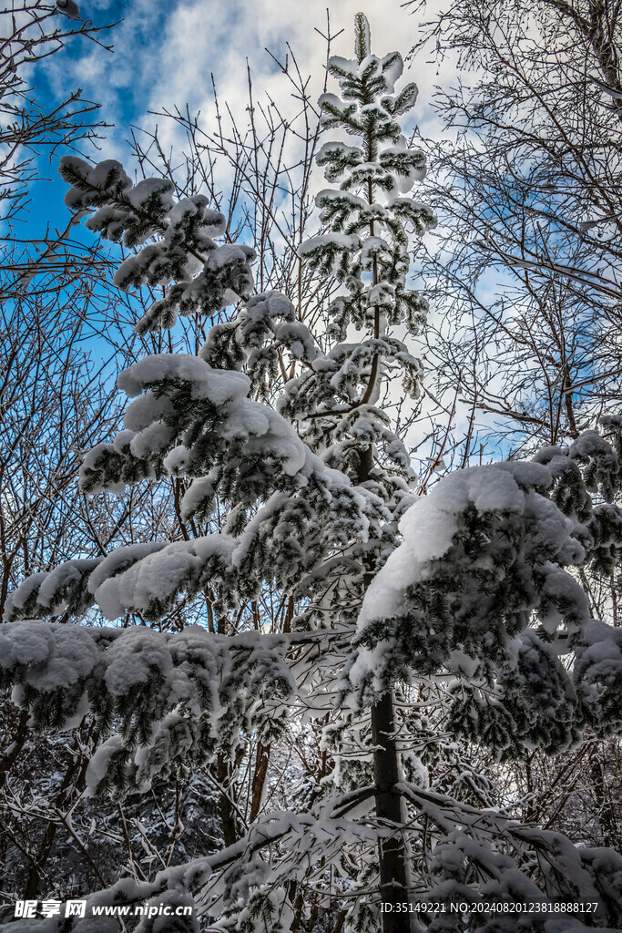 雪乡风景