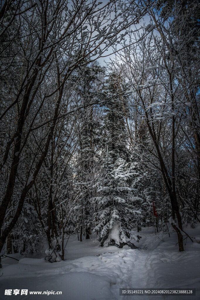 雪乡风景