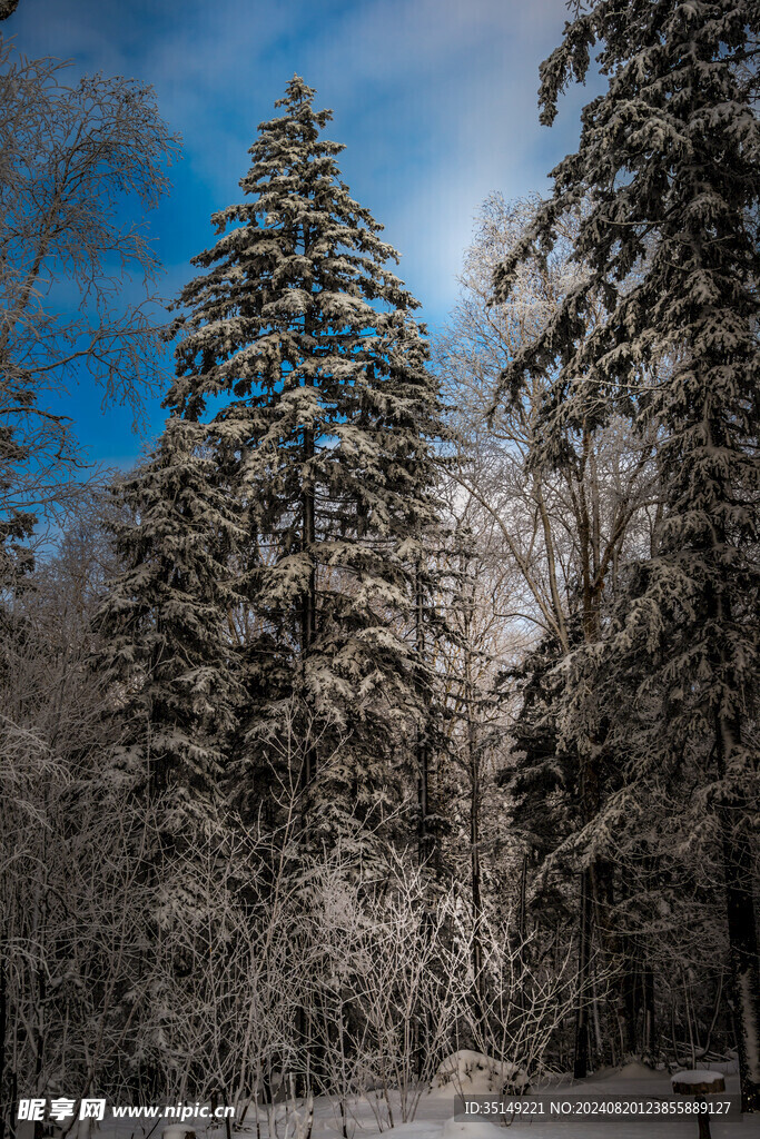 雪乡风景