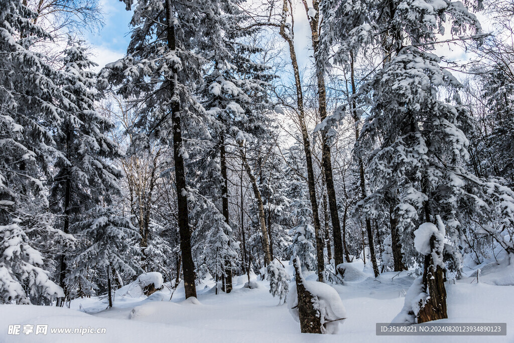 雪乡风景