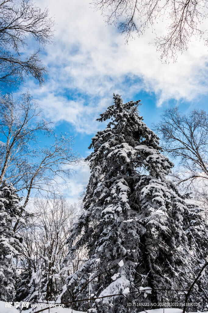 雪乡风景