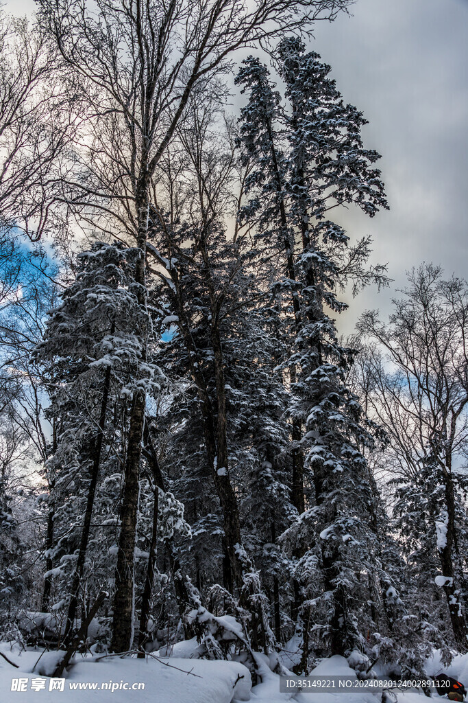 雪乡风景