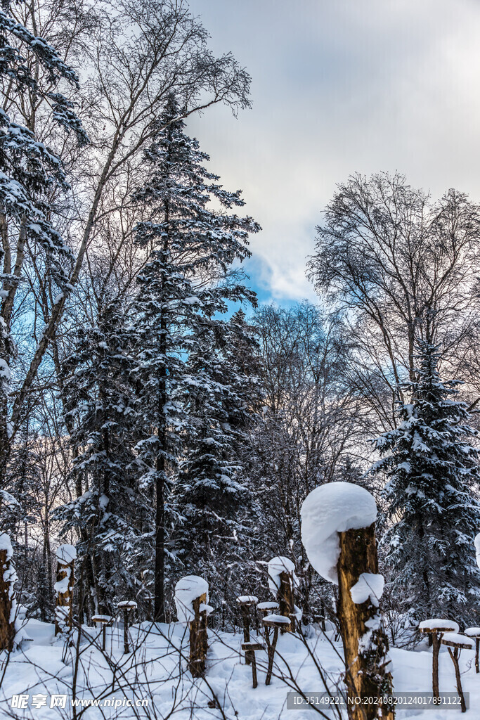 雪乡风景