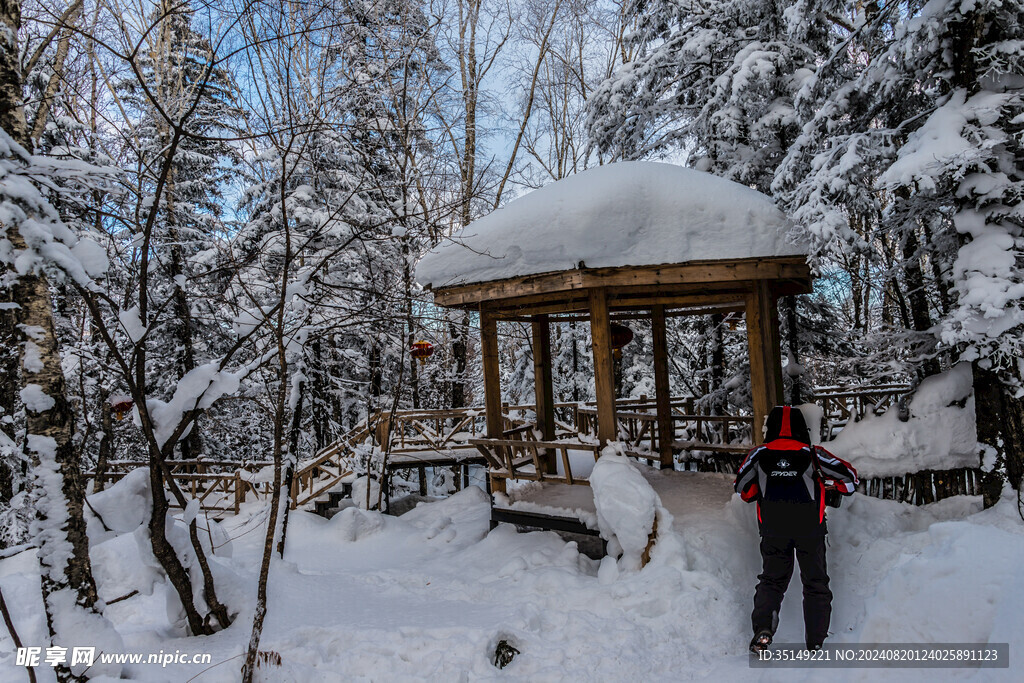 雪乡风景